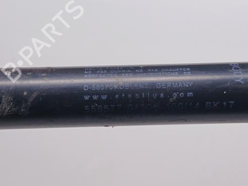 Hood lift support LAND ROVER RANGE ROVER EVOQUE (L538)  | BP29721811C139 