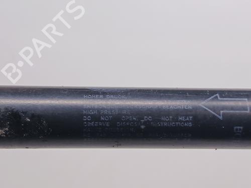 Hood lift support LAND ROVER RANGE ROVER EVOQUE (L538)  | BP29721811C139 