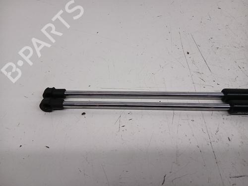 Tailgate lift support AUDI A3 (8L1) 1.8 T | BP28142979C138 
