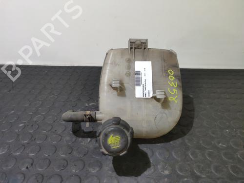 Ekpansionstank RENAULT TWINGO II (CN0_) 1.2 16V (CN0K, CN0V, CN0A) (76 hp) 32147083