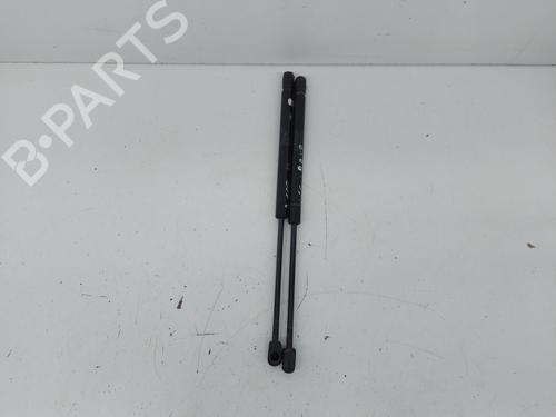 hood-lift-support-renault-master-iii-van-fv-2010-32475863 main image