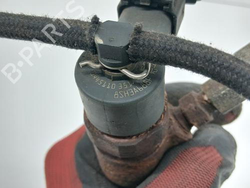 Injector FIAT DOBLO Cargo (263_)  | BP29608718M100 