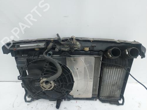 water-radiator-peugeot-207-wa_-wc_-2006-2007-2008-2009-2010-2011-2012-2013-2014-2015-31862861 main image