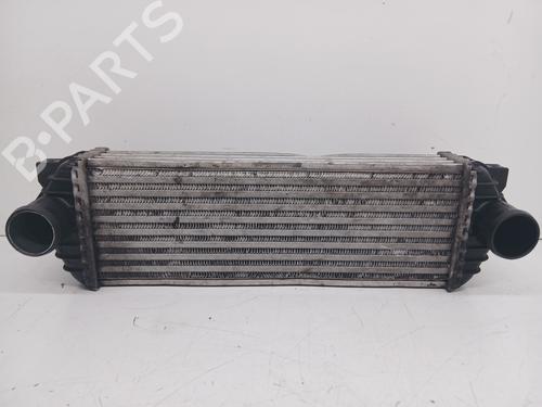 Used Intercooler FORD TRANSIT CONNECT (P65_, P70_, P80_) 1.8 TDCi (90 hp) 26394858