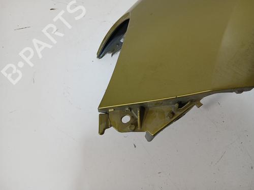 Left front fenders RENAULT CLIO III (BR0/1, CR0/1)  | BP28534804C41