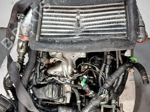Engine SUZUKI GRAND VITARA I (FT, HT) 2.0 HDI 110 16V 4x4 (SQ420D, TD83V) | BP27238472M1 