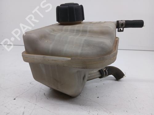 Expansion tank NISSAN QASHQAI / QASHQAI +2 I (J10, NJ10, JJ10E)  | BP26332380C120 