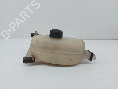 Used Expansion tank NISSAN PRIMASTAR Van (X83) 2.0 dCi 115 (114 hp) 21781371