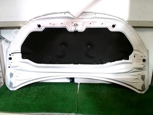 Hood CITROËN C3 III (SX) 1.5 BlueHDi 100 (SXYHYP, SXYHTU) | BP30195209C1 