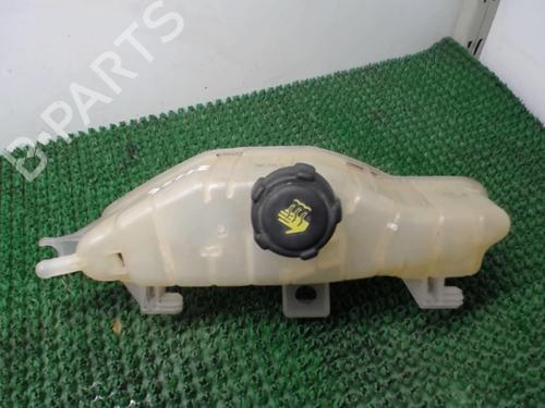 Expansion tank RENAULT CLIO III (BR0/1, CR0/1) 1.5 dCi (C/BR0G, C/BR1G) | BP22081236C120 