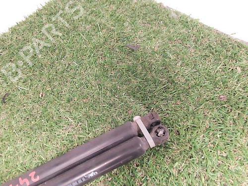 Tailgate lift support CITROËN C3 Picasso (SH_) 1.6 HDi | BP22092337C138 