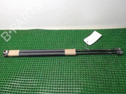 Used Tailgate lift support FORD FIESTA V (JH_, JD_) 1.3 (69 hp) 22077350