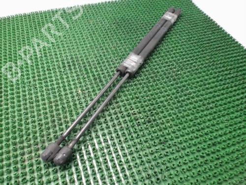 Tailgate lift support RENAULT SCÉNIC II (JM0/1_) 1.9 dCi (JM14) | BP22080794C138 
