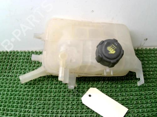 Ekspansjonstank Ekspansjonstank RENAULT MEGANE III Hatchback (BZ0/1_, B3_) 1.5 dCi (86 hp) 22078809 22078809