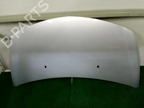 Hood RENAULT CLIO III (BR0/1, CR0/1) 1.5 dCi (C/BR0G, C/BR1G) | BP25262263C1 