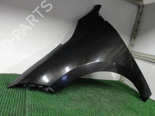 Left front fenders RENAULT MEGANE III Hatchback (BZ0/1_, B3_) 1.9 dCi (BZ0N, BZ0J) | BP20877316C41 