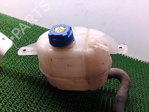 Used Expansion tank CITROËN NEMO Box Body/MPV (AA_) 1.4 HDi (68 hp) 22078080