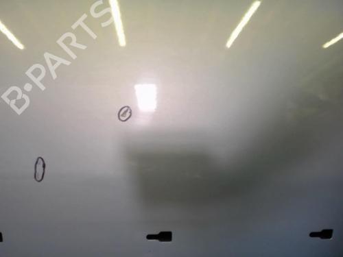 Right front door PEUGEOT 406 Coupe (8C) 2.2 HDI | BP22081348C3 