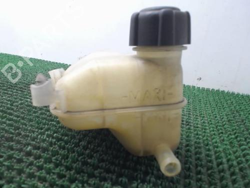 Expansion tank RENAULT KANGOO Express (FC0/1_) 1.2 (FC01, FC0A, FC0F) | BP22080278C120 