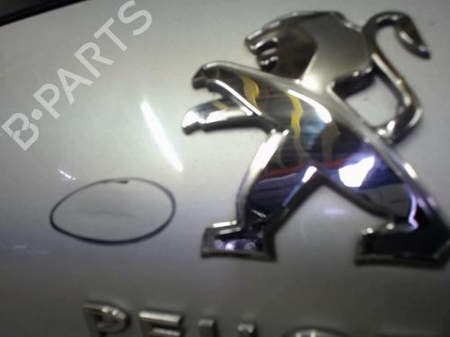 Tailgate PEUGEOT 308 II (LB_, LP_, LW_, LH_, L3_) 1.6 HDi | BP20874419C6