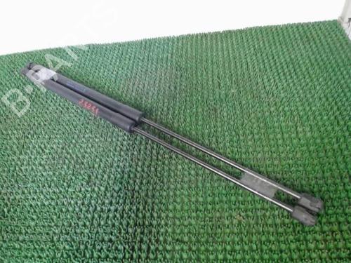 Tailgate lift support FORD KUGA I 2.0 TDCi 4x4 | BP22088053C138 