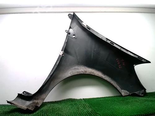Left front fenders RENAULT CLIO III (BR0/1, CR0/1) 1.5 dCi (BR17, CR17) | BP29958668C41