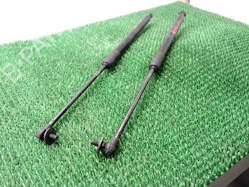 Tailgate lift support RENAULT SCÉNIC IV (J9_) 1.5 dCi 110 | BP22892734C138 