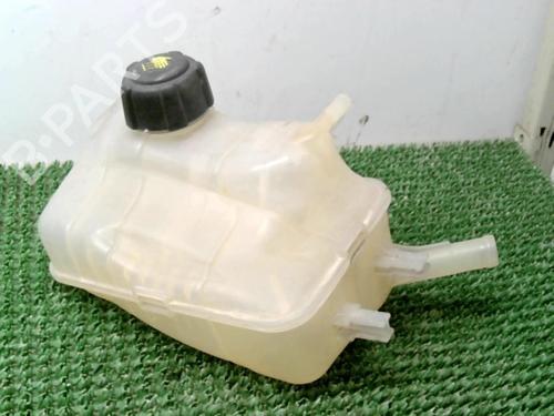 Used Expansion tank RENAULT MEGANE III Hatchback (BZ0/1_, B3_) 1.5 dCi (86 hp) 22078809