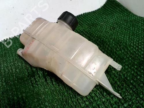 Expansion tank RENAULT CLIO III (BR0/1, CR0/1) 1.5 dCi (BR0H, CR0H, CR1S, BR1S) | BP29884409C120 