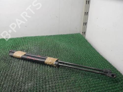 Used Tailgate lift support Tailgate lift support RENAULT MEGANE III Grandtour (KZ0/1) 1.5 dCi (KZ0C, KZ1A) (90 hp) 22087449 22087449