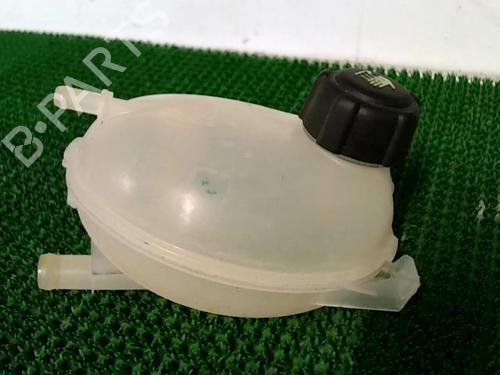 Expansion tank RENAULT CLIO IV (BH_) 0.9 TCe 90 (BHNF, BHMA, BHMH, BHJK, BHJR) | BP22091993C120 