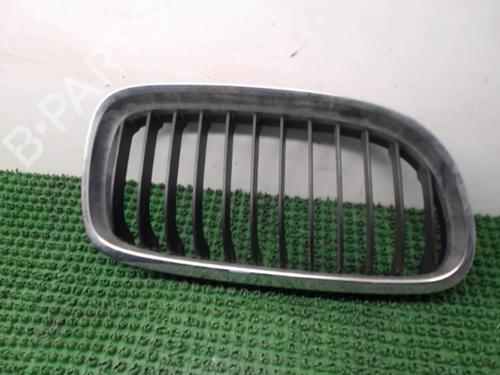 Used Grille BMW 3 Touring (E91) 320 d (177 hp) 22086091
