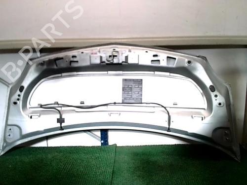 Hood RENAULT KANGOO / GRAND KANGOO II (KW0/1_) 1.5 dCi 85 (KW0K, KW0L, KW0B) | BP21190200C1 