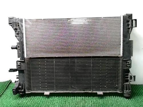 Used Water radiator Water radiator RENAULT ZOE (BFM_) ZOE (88 hp) 22089123 22089123