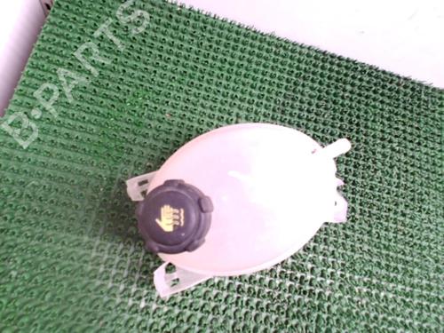 Expansion tank RENAULT CLIO IV (BH_) 1.5 dCi 90 | BP22084902C120 