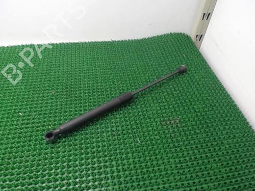 Used Hood lift support MERCEDES-BENZ CITAN Box Body/MPV (W415) 109 CDI (415.601, 415.603, 415.605) (90 hp) 22076770