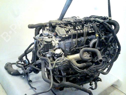 Used Engine FORD C-MAX (DM2) 1.6 TDCi (90 hp) 22086885