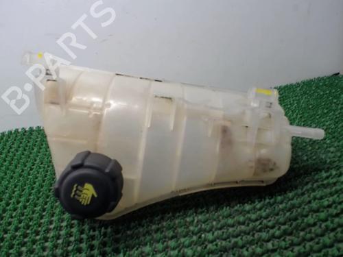 Used Expansion tank RENAULT KANGOO / GRAND KANGOO II (KW0/1_) 1.5 dCi 90 (KW05, KW08, KW0G, KW11) (90 hp) 22077774