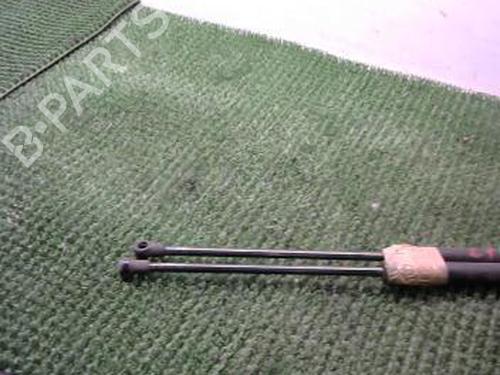 Tailgate lift support FIAT PANDA (169_) 1.1 (169.AXA1A) | BP22088531C138 