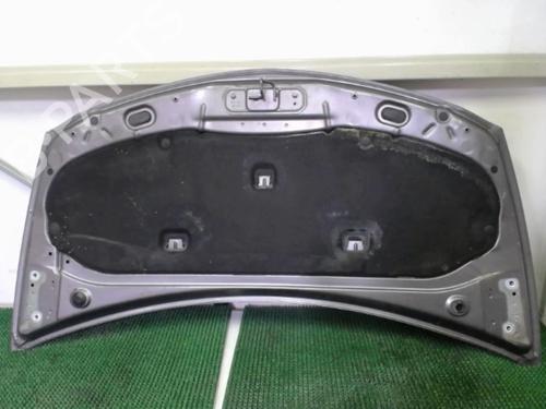 Hood RENAULT CLIO III (BR0/1, CR0/1) 1.5 dCi (C/BR0G, C/BR1G) | BP20876513C1 