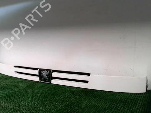 Used Grille Grille 22092267 22092267