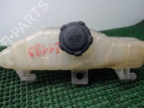 Expansion tank RENAULT CLIO III (BR0/1, CR0/1) 1.5 dCi (BR0H, CR0H, CR1S, BR1S) | BP22082008C120 