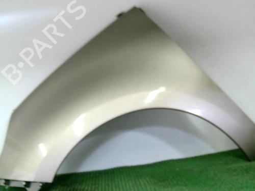Left front fenders RENAULT SCÉNIC III (JZ0/1_) 1.9 dCi (JZ0J, JZ1J, JZ1K, JZ1S) | BP20877693C41 