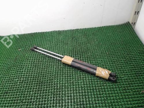 Used Tailgate lift support RENAULT CLIO III (BR0/1, CR0/1) 1.5 dCi (C/BR0G, C/BR1G) (68 hp) 22085635