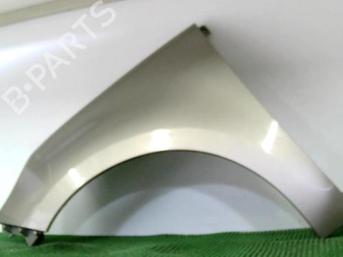 Used Left front fenders RENAULT SCÉNIC III (JZ0/1_) 1.9 dCi (JZ0J, JZ1J, JZ1K, JZ1S) (131 hp) 20877693