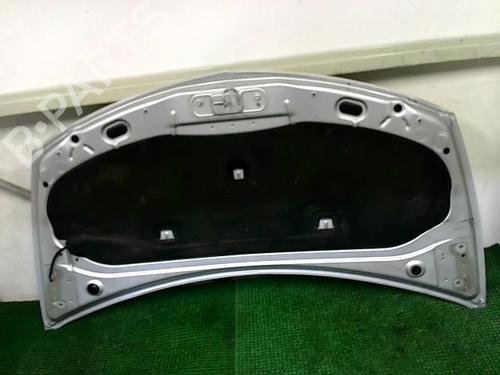 Hood RENAULT CLIO III (BR0/1, CR0/1) 1.5 dCi (C/BR0G, C/BR1G) | BP25262263C1 