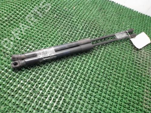 Used Tailgate lift support RENAULT KADJAR (HA_, HL_) 1.2 TCe 130 (HLMR) (130 hp) 22085846