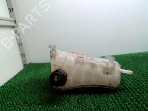 Used Expansion tank RENAULT KANGOO / GRAND KANGOO II (KW0/1_) 1.5 dCi 75 (KW07, KW10, KW04) (75 hp) 22083619
