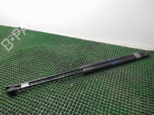 Tailgate lift support OPEL CORSA D (S07) 1.3 CDTI (L08, L68) | BP22082316C138 