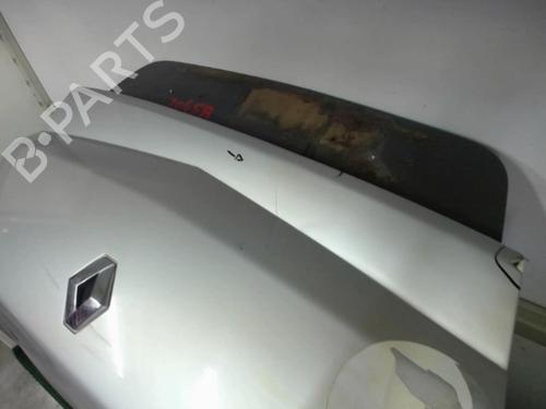 Tailgate RENAULT MEGANE II Coupé-Cabriolet (EM0/1_) 1.9 dCi | BP22086462C6 